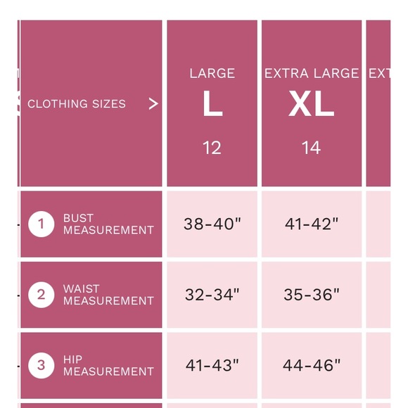 La Vie en Rose One Piece Swimsuit - Picture 5 of 5